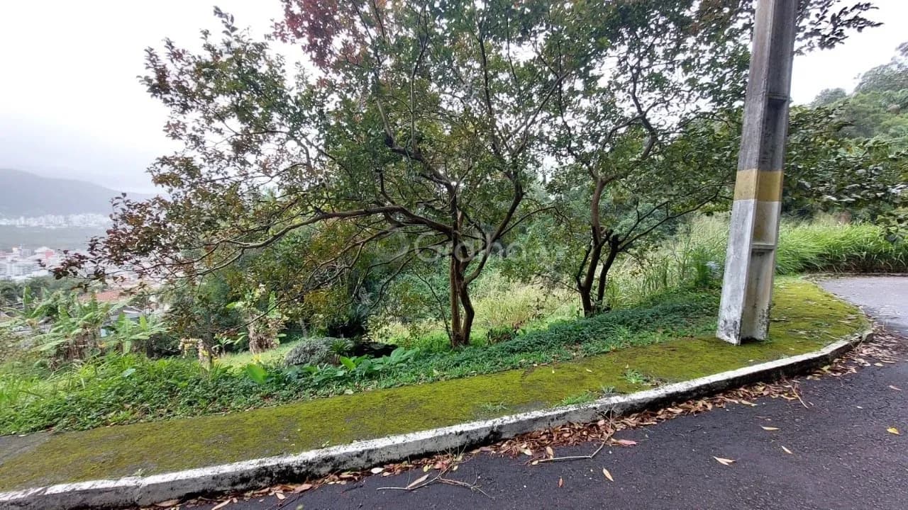 Terreno para venda em Trindade com 963 m² — foto 3