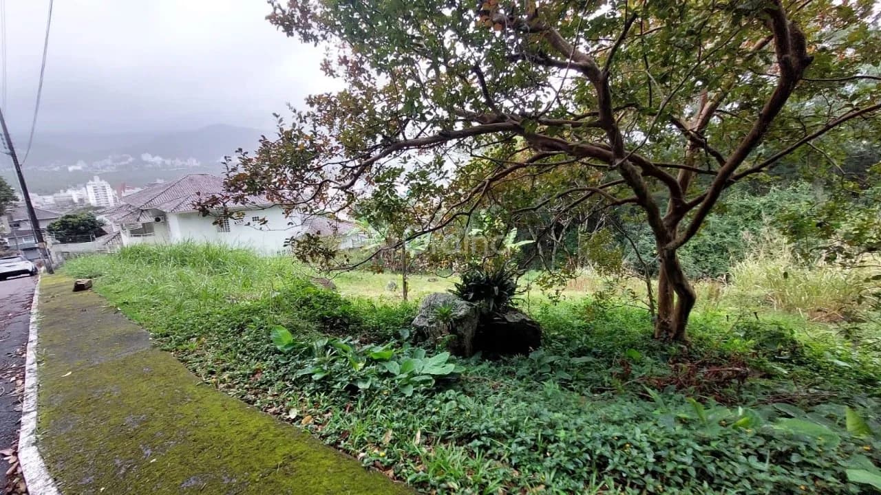 Terreno para venda em Trindade com 963 m² — foto 4