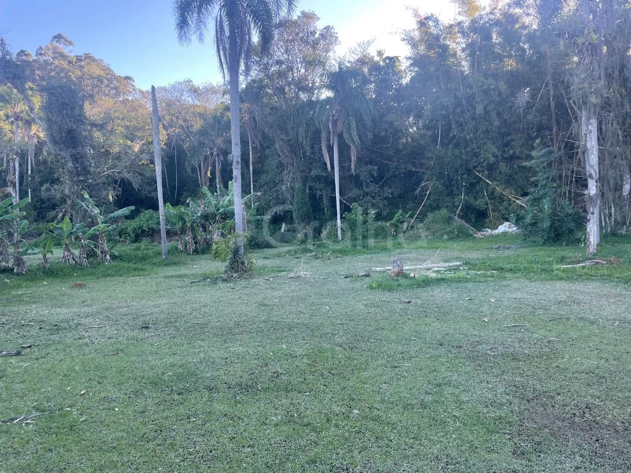 Terreno para venda em Ratones com 1505 m²