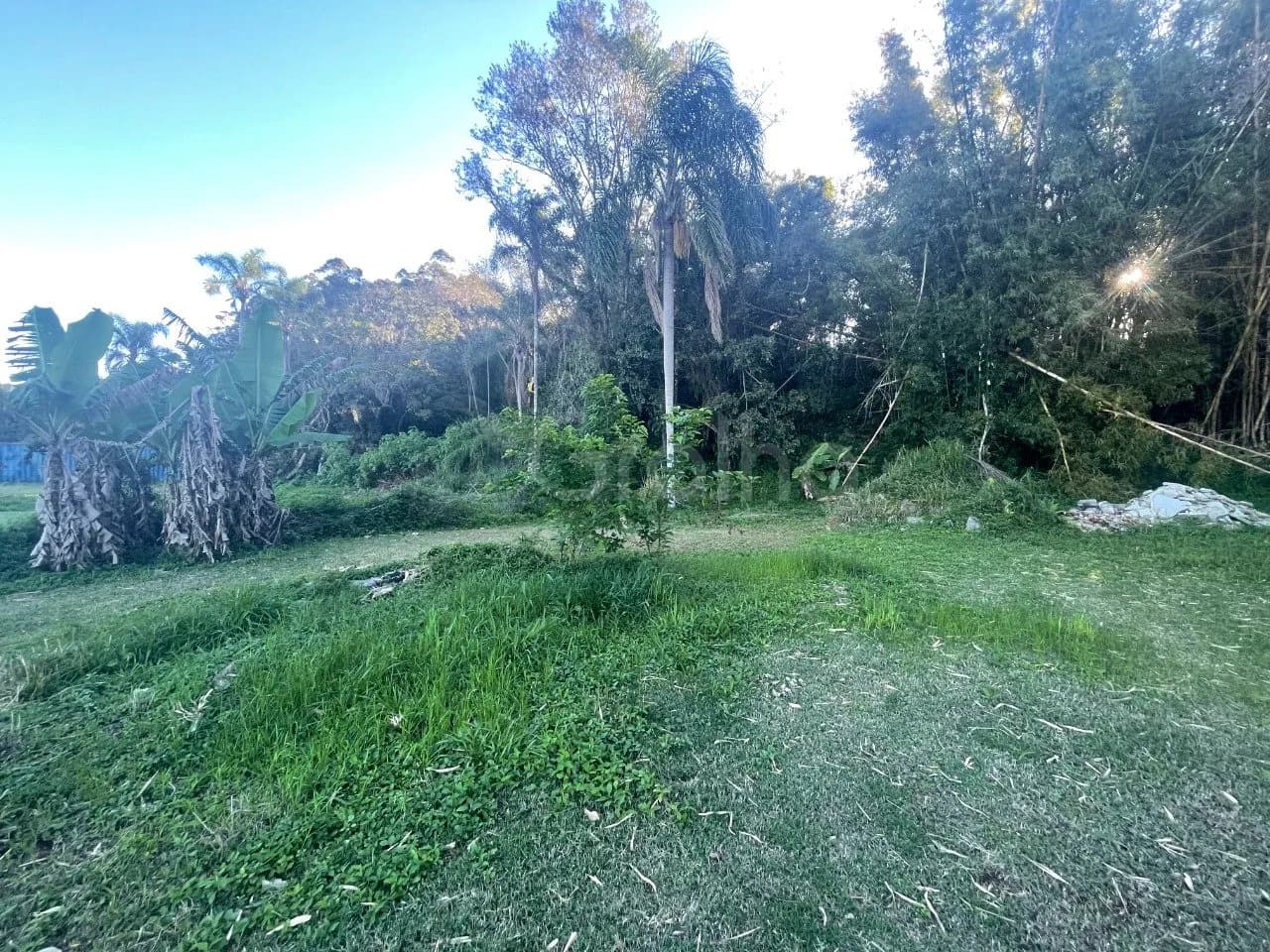 Terreno para venda em Ratones com 1505 m² — foto 2