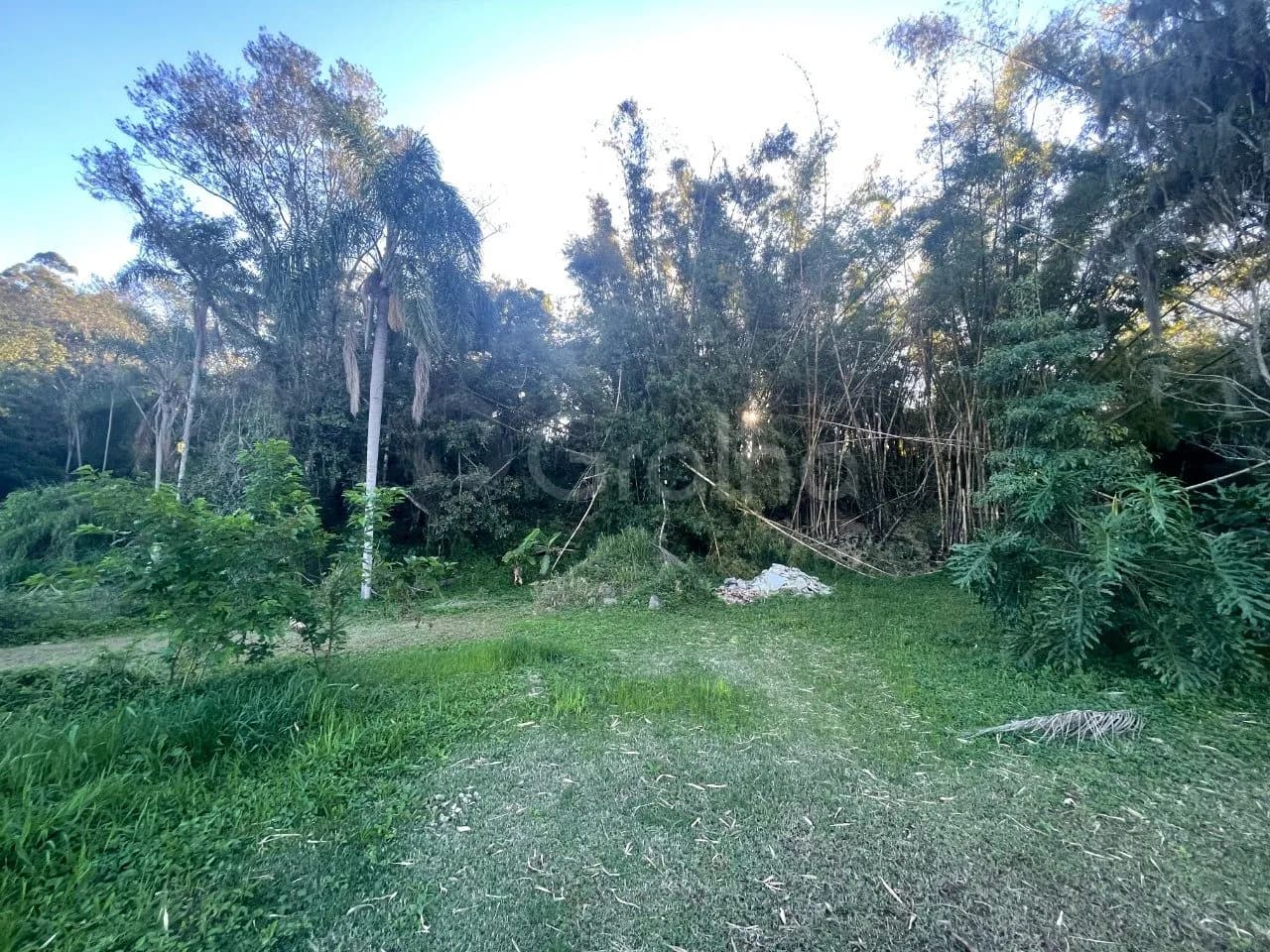 Terreno para venda em Ratones com 1505 m² — foto 3