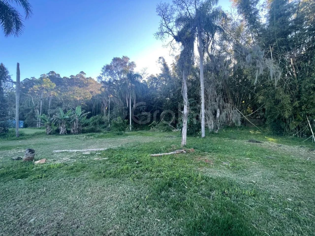 Terreno para venda em Ratones com 1505 m² — foto 4