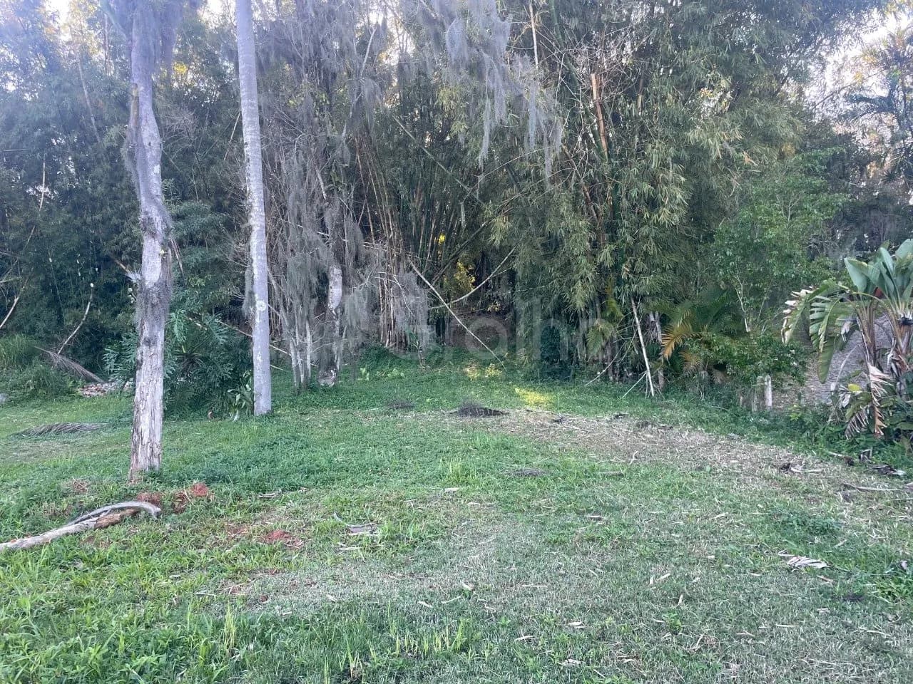 Terreno para venda em Ratones com 1505 m² — foto 5