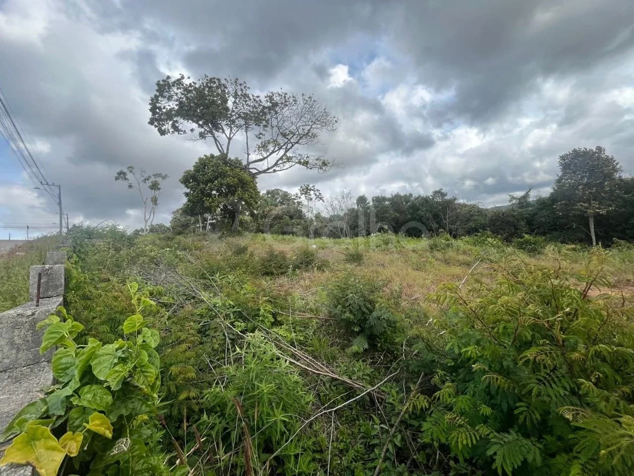 Terreno para venda em Forquilhas com 6352 m² — foto 4