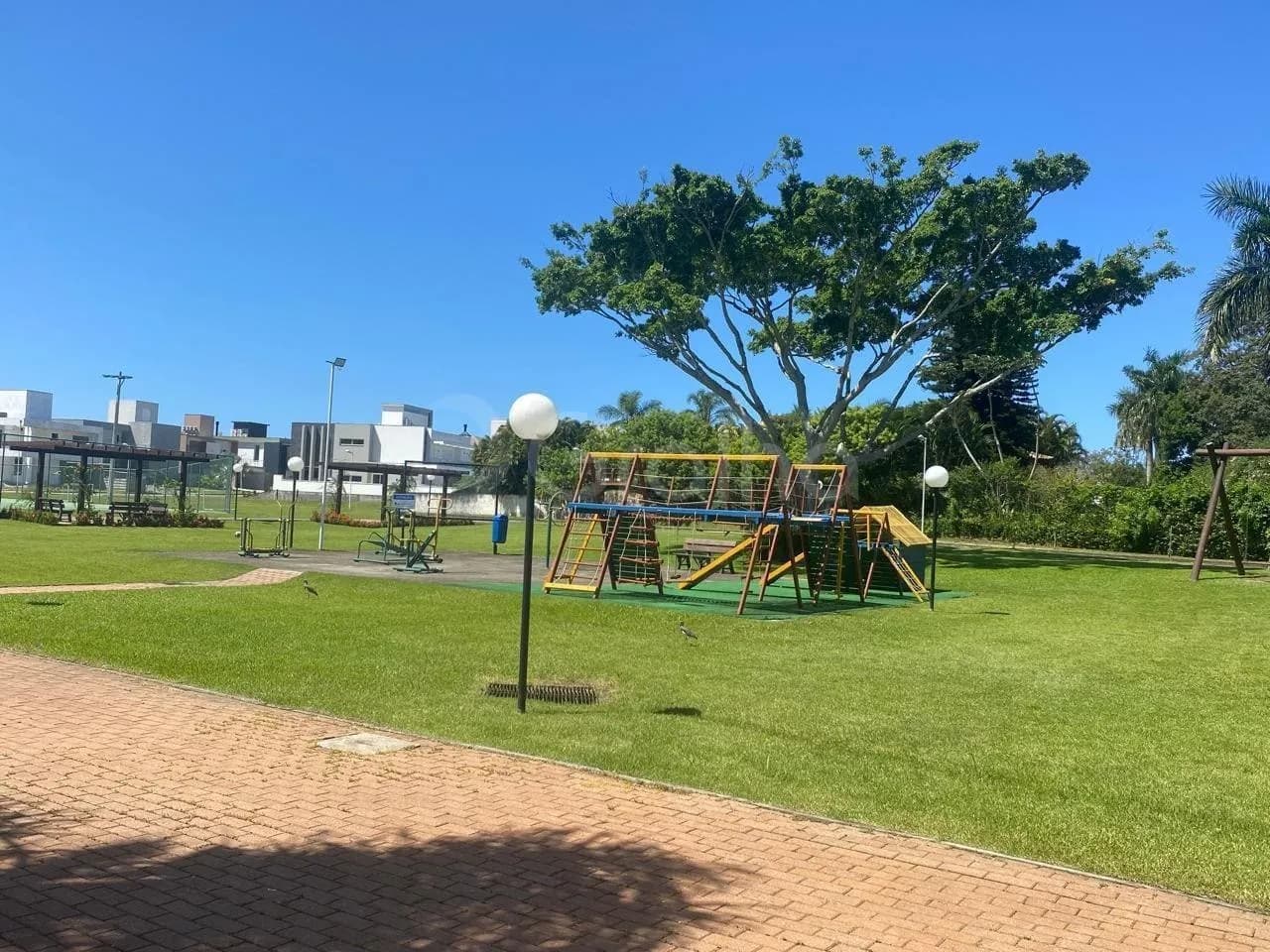 Terreno para venda em Ingleses Norte com 458 m² — foto 5