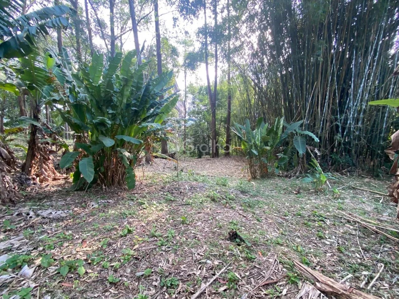 Terreno para venda em Pantanal com 1500 m² — foto principal