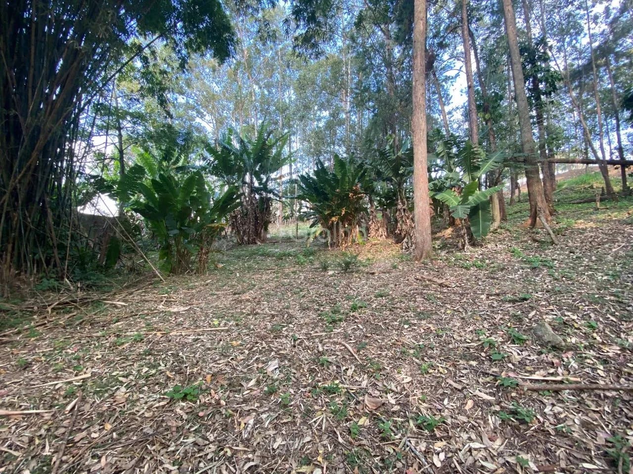 Terreno para venda em Pantanal com 1500 m² — foto 3