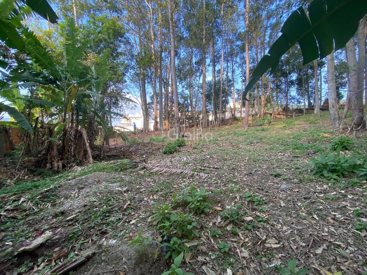 Terreno para venda em Pantanal com 1500 m² — foto 2