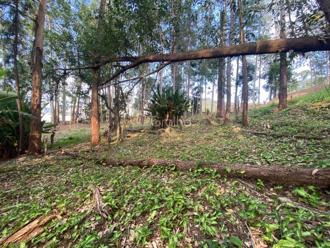 Terreno para venda em Pantanal com 1500 m² — foto 5