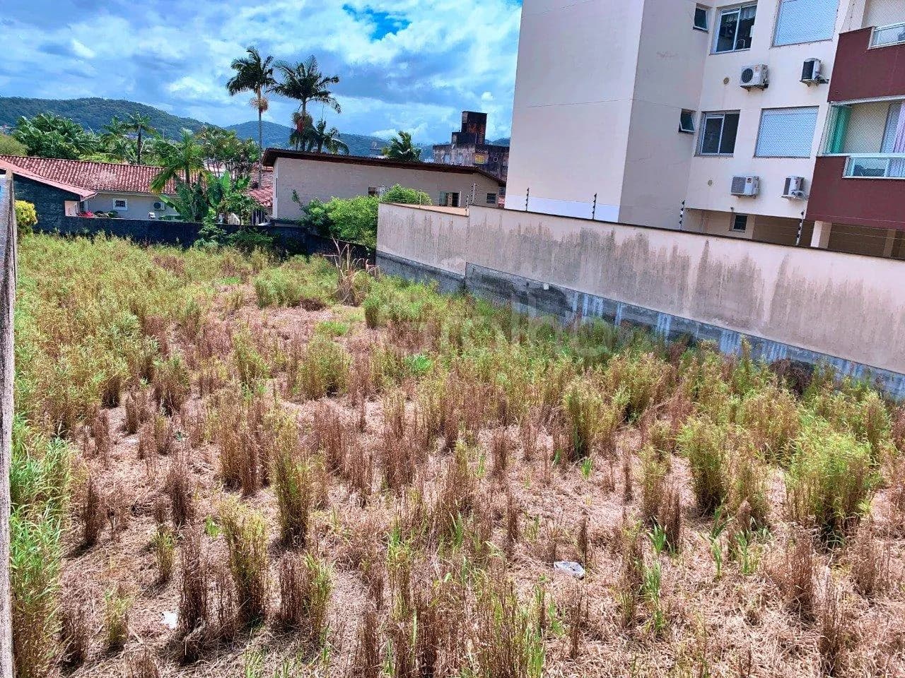Terreno para venda em Picadas Do Sul com 648 m² — foto 2