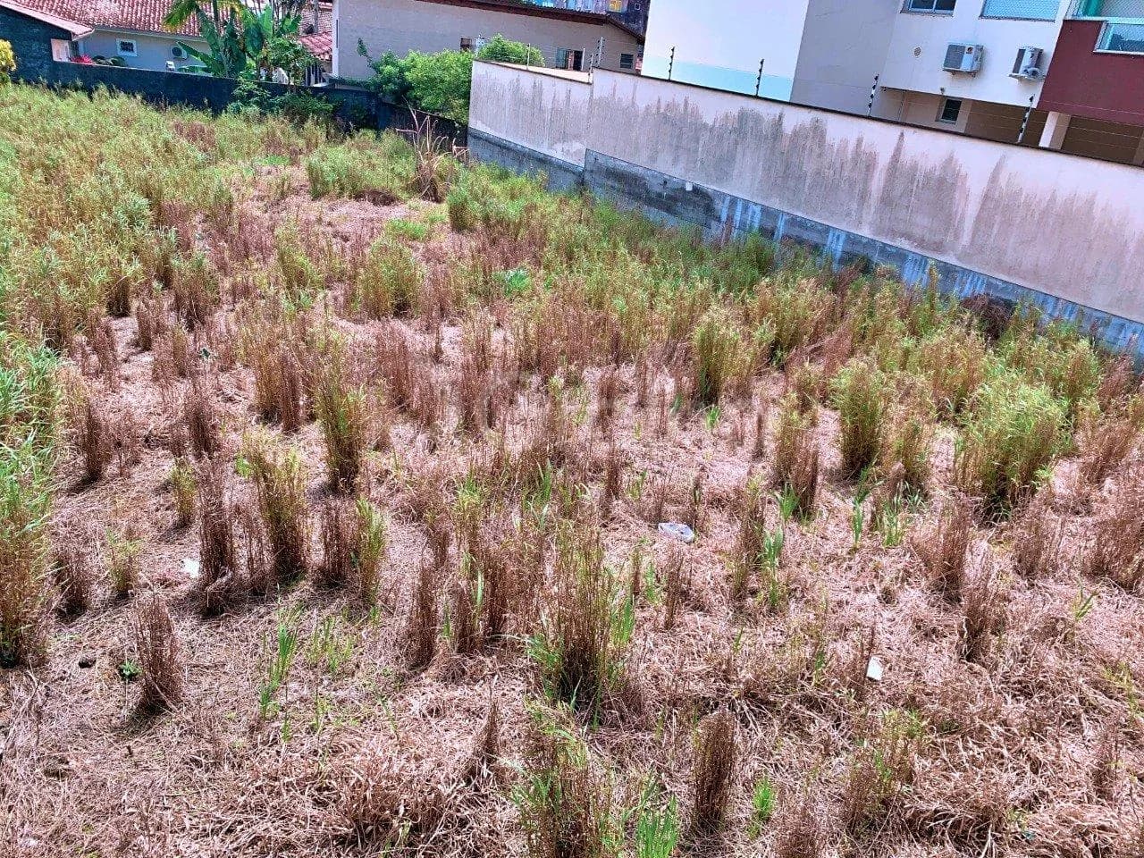 Terreno para venda em Picadas Do Sul com 648 m² — foto 3