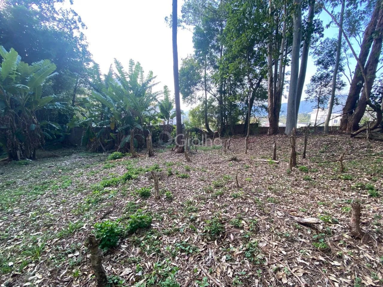 Terreno para venda em Pantanal com 1500 m² — foto 3