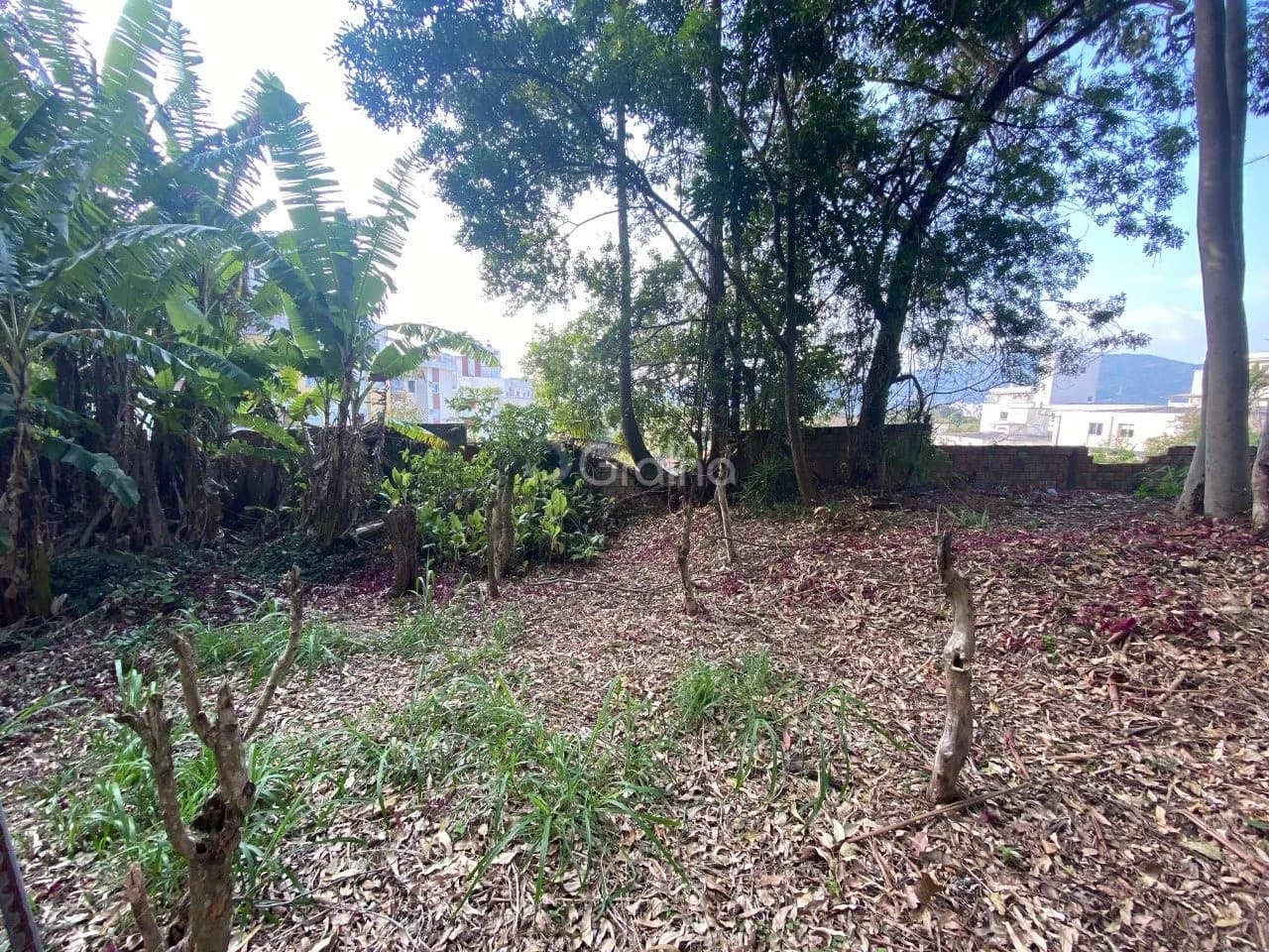 Terreno para venda em Pantanal com 1500 m² — foto 2
