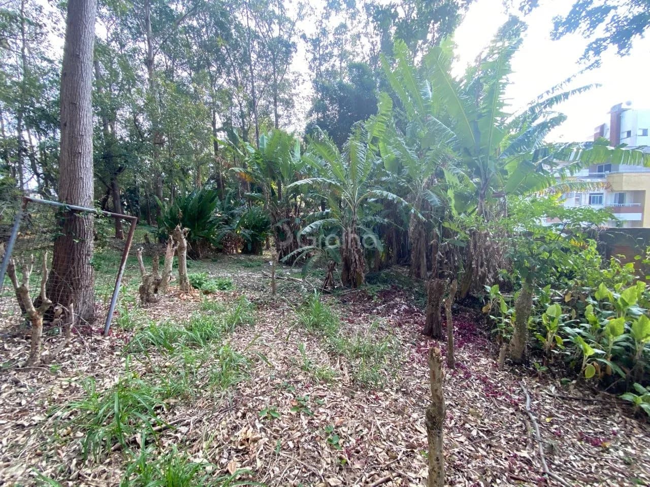 Terreno para venda em Pantanal com 1500 m² — foto 4