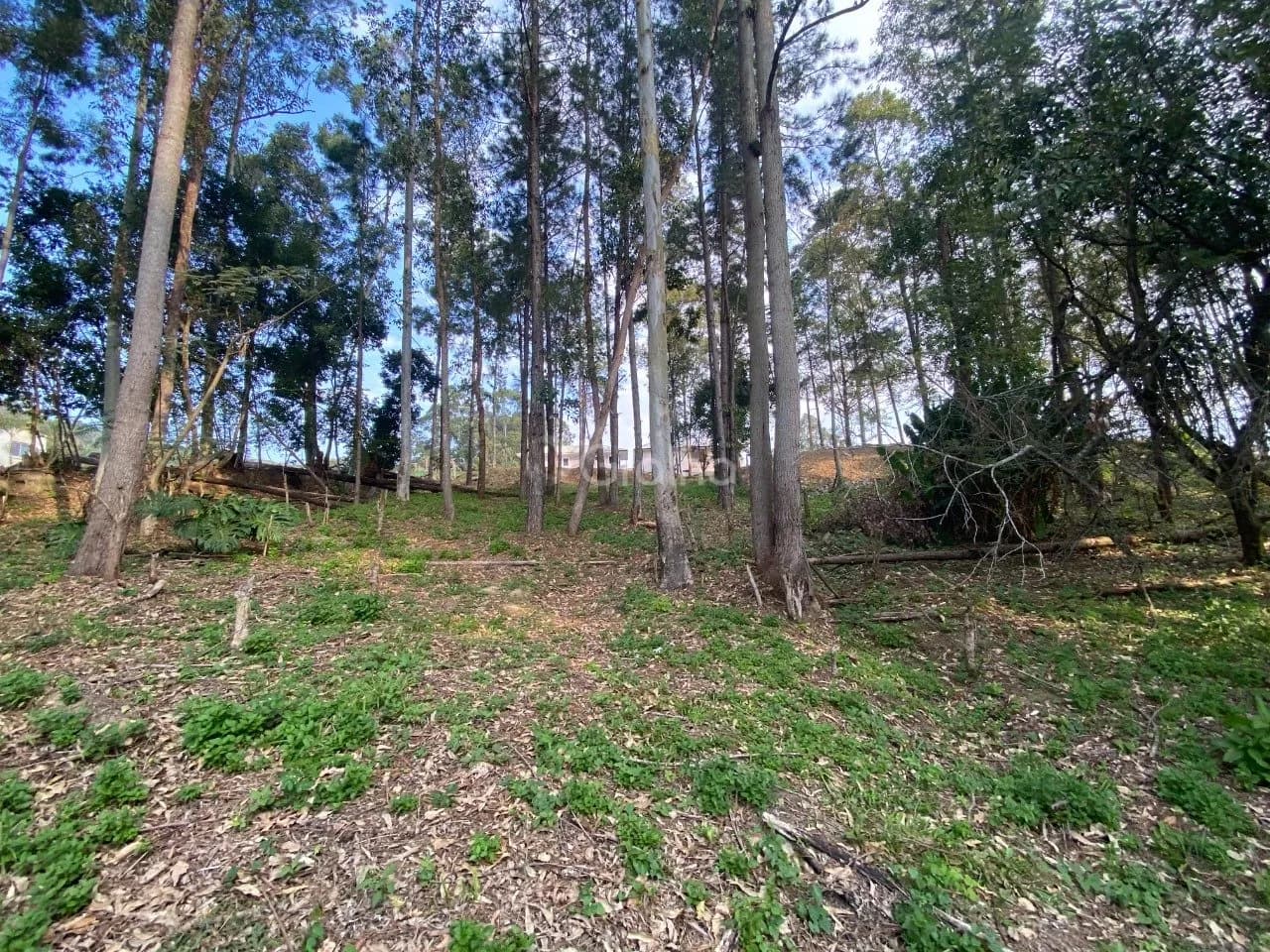 Terreno para venda em Pantanal com 1500 m² — foto 5
