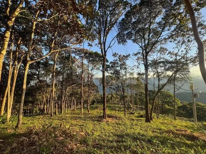 Terreno para venda em alto varginha com 1282 m² — foto 3