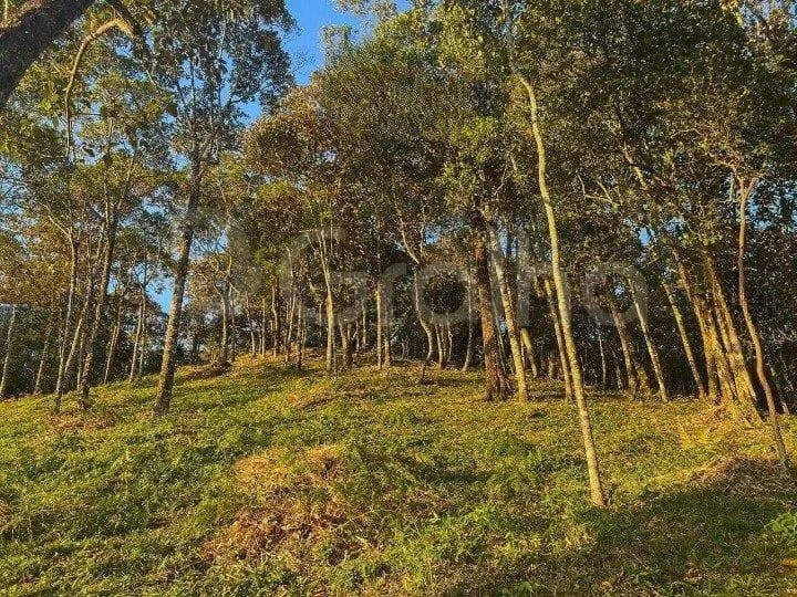 Terreno para venda em alto varginha com 1282 m² — foto 5