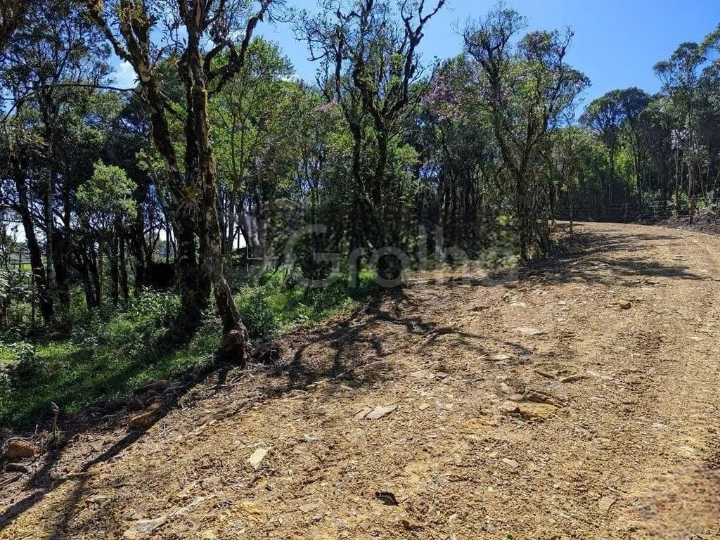 Terreno para venda em ÁGUAS CLARAS com 1130 m² — foto 2