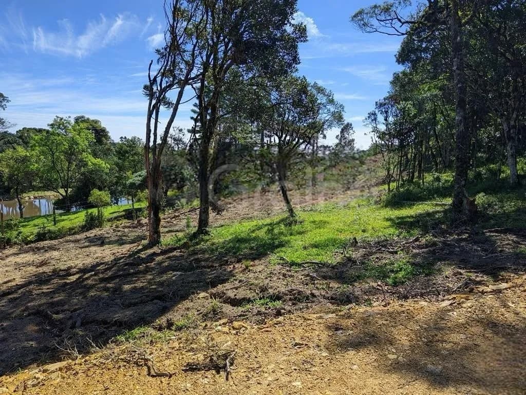 Terreno para venda em ÁGUAS CLARAS com 1130 m² — foto 3