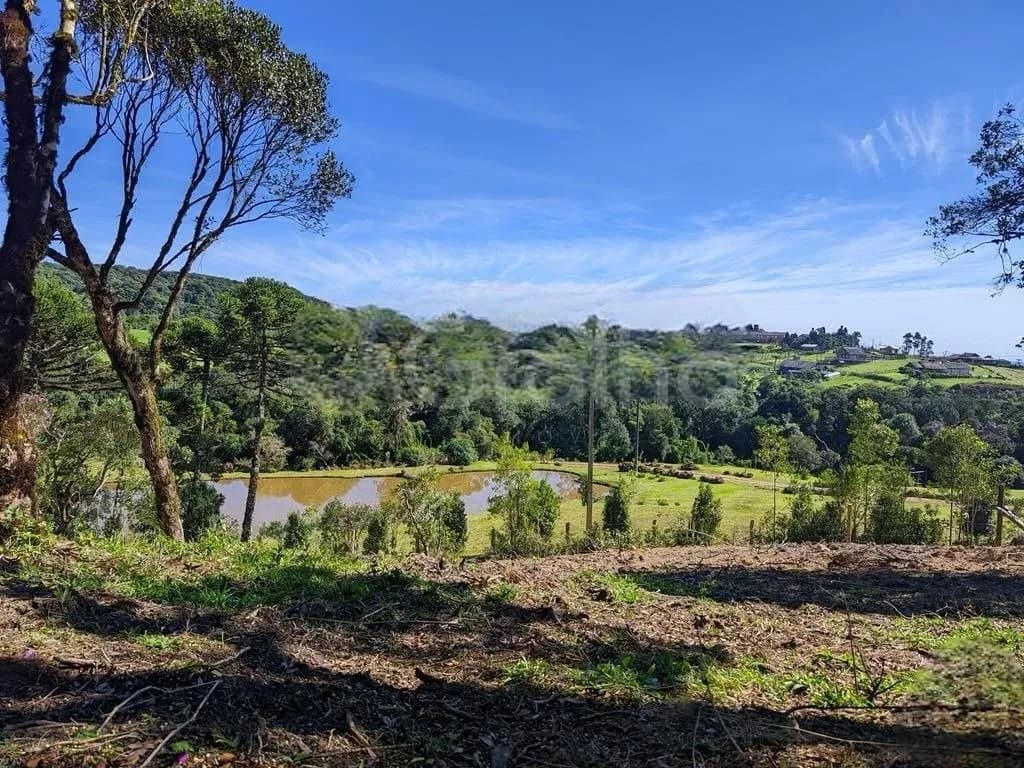 Terreno para venda em ÁGUAS CLARAS com 1130 m² — foto 4