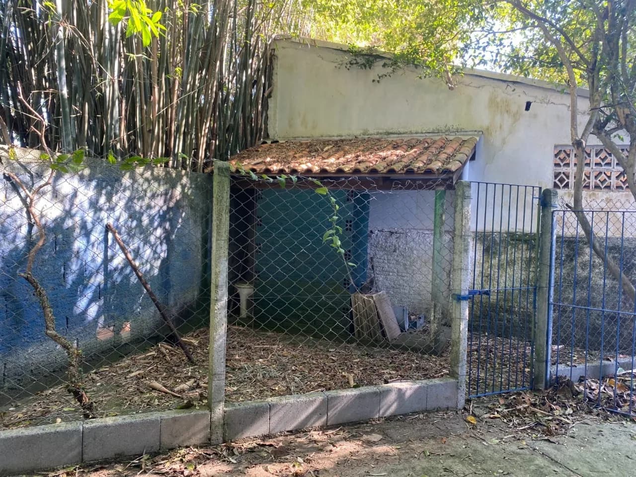 Casa para venda com 4 dormitórios em Morro Das Pedras com 250 m² — foto 5