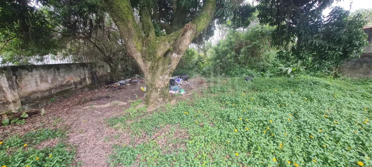Terreno para venda em Centro com 987 m² — foto 4