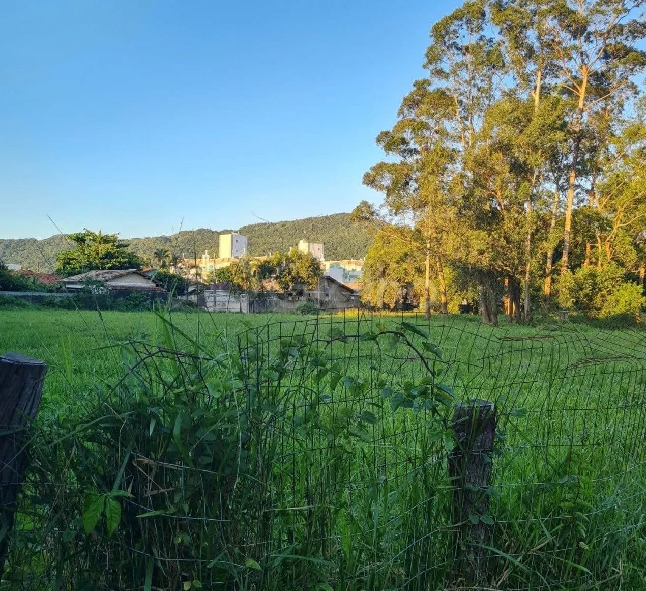 Terreno para venda em Cachoeira Do Bom Jesus com 7751 m² — foto principal