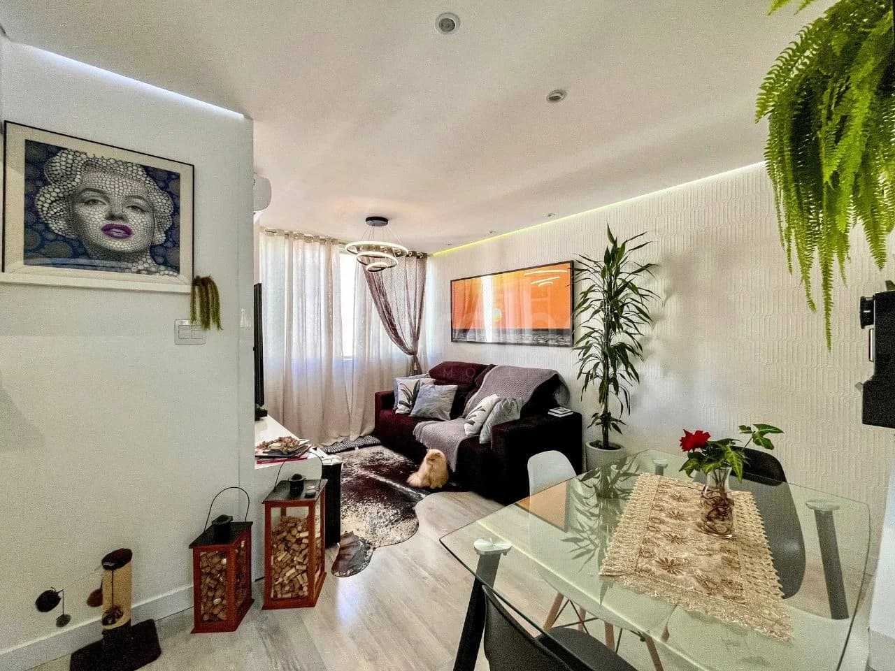 Apartamento para venda com 2 dormitórios em Bom Abrigo com 55 m² — foto 2