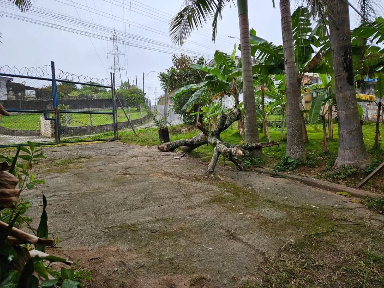 Terreno para venda em Picadas Do Sul com 6397 m² — foto 3