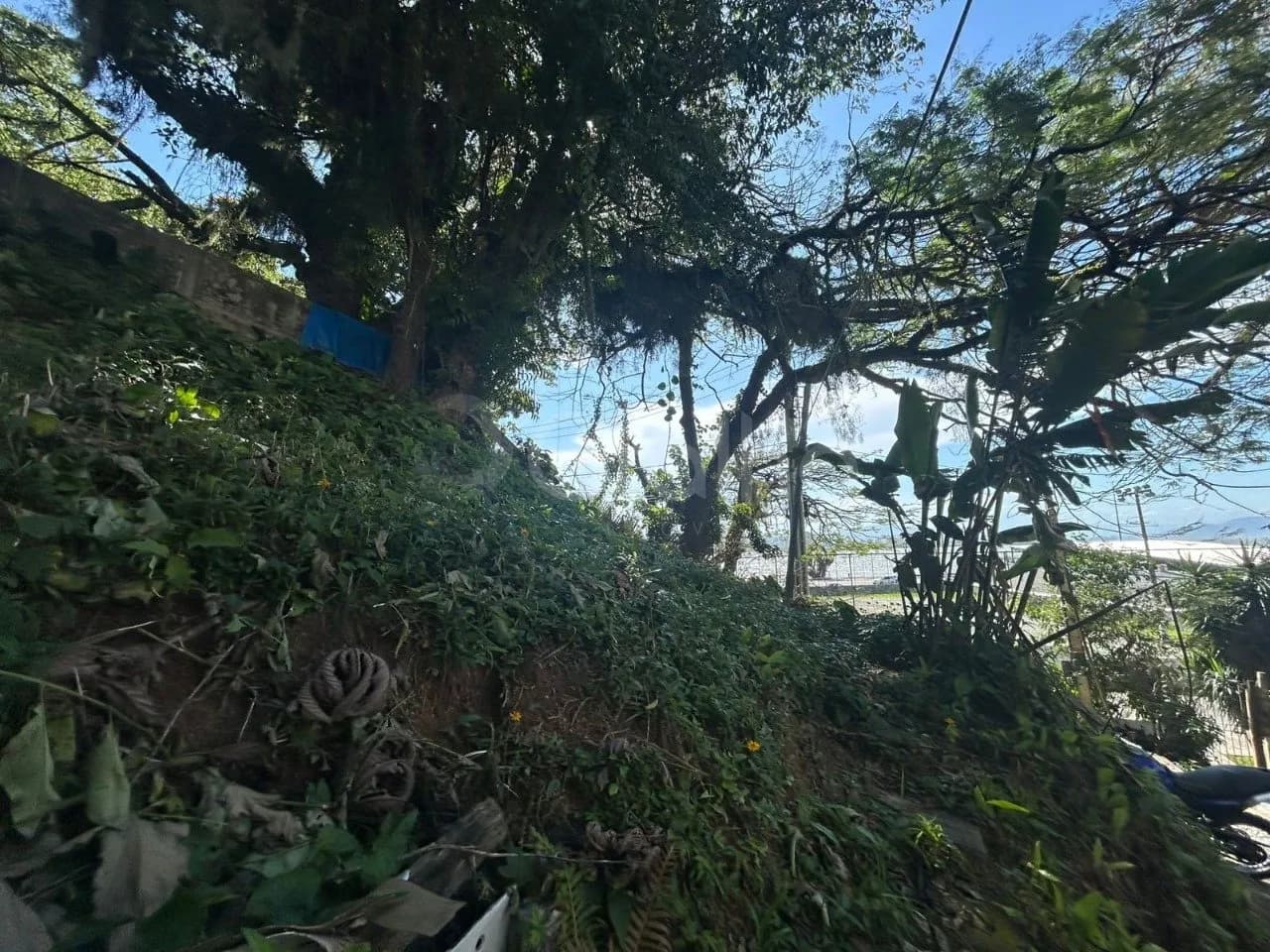 Terreno para venda em Centro com 487 m² — foto 3