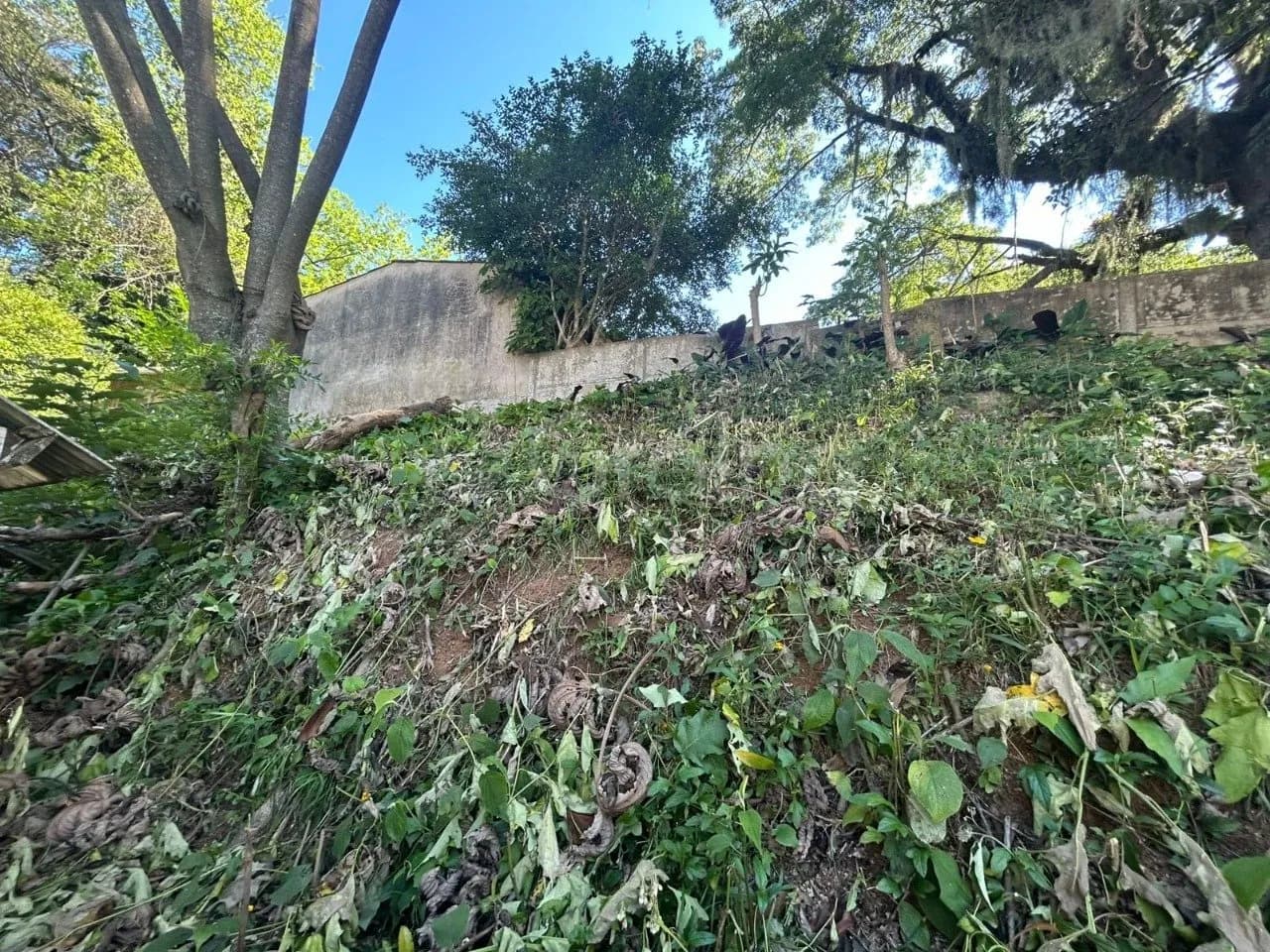 Terreno para venda em Centro com 487 m² — foto 5