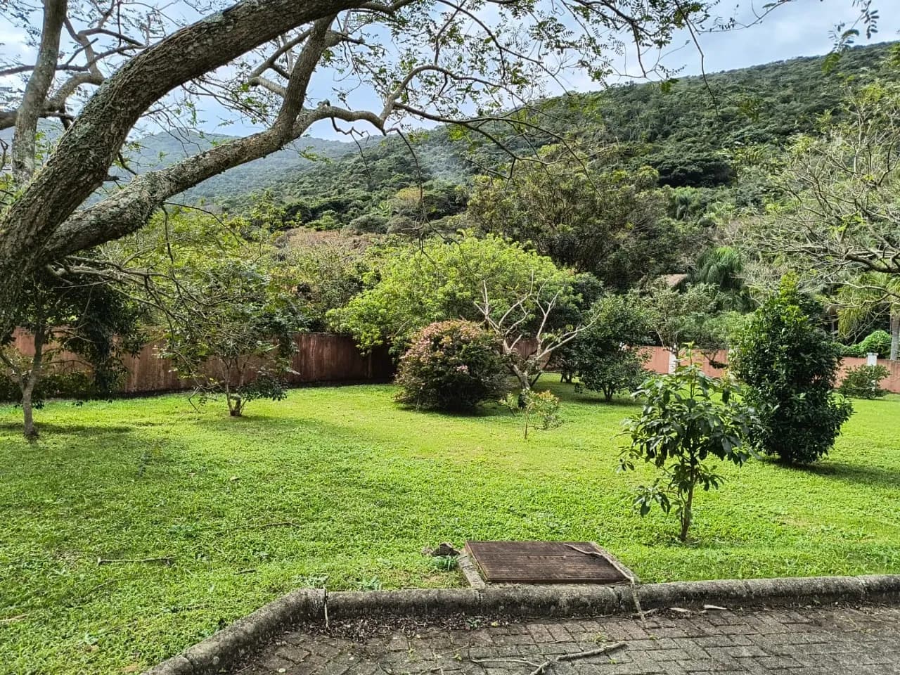 Terreno para venda em Pântano Do Sul com 401 m² — foto 3