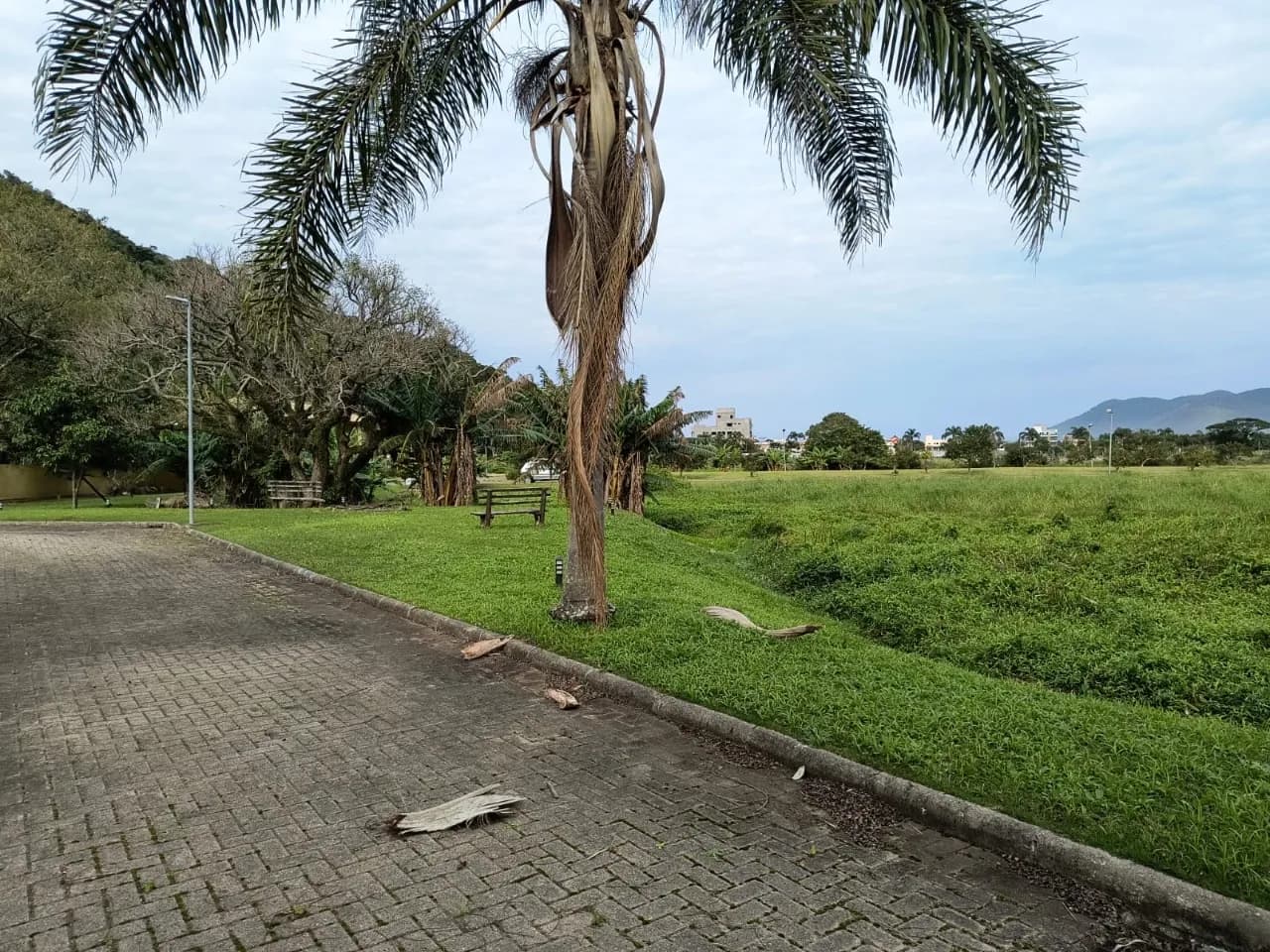 Terreno para venda em Pântano Do Sul com 401 m² — foto 5