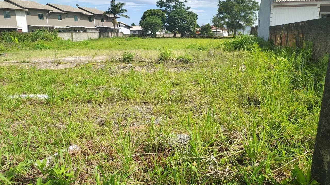 Terreno para venda em Aririú da Formiga com 3112 m² — foto principal