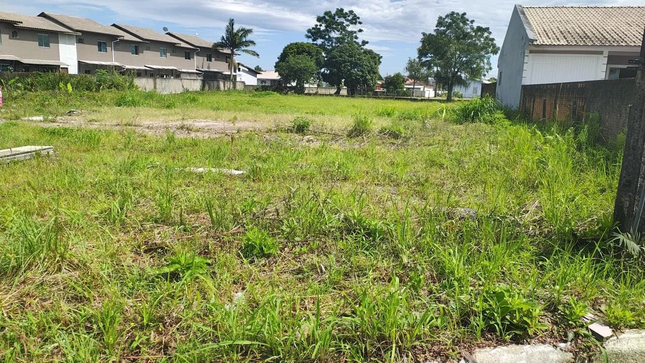 Terreno para venda em Aririú da Formiga com 3112 m² — foto 2