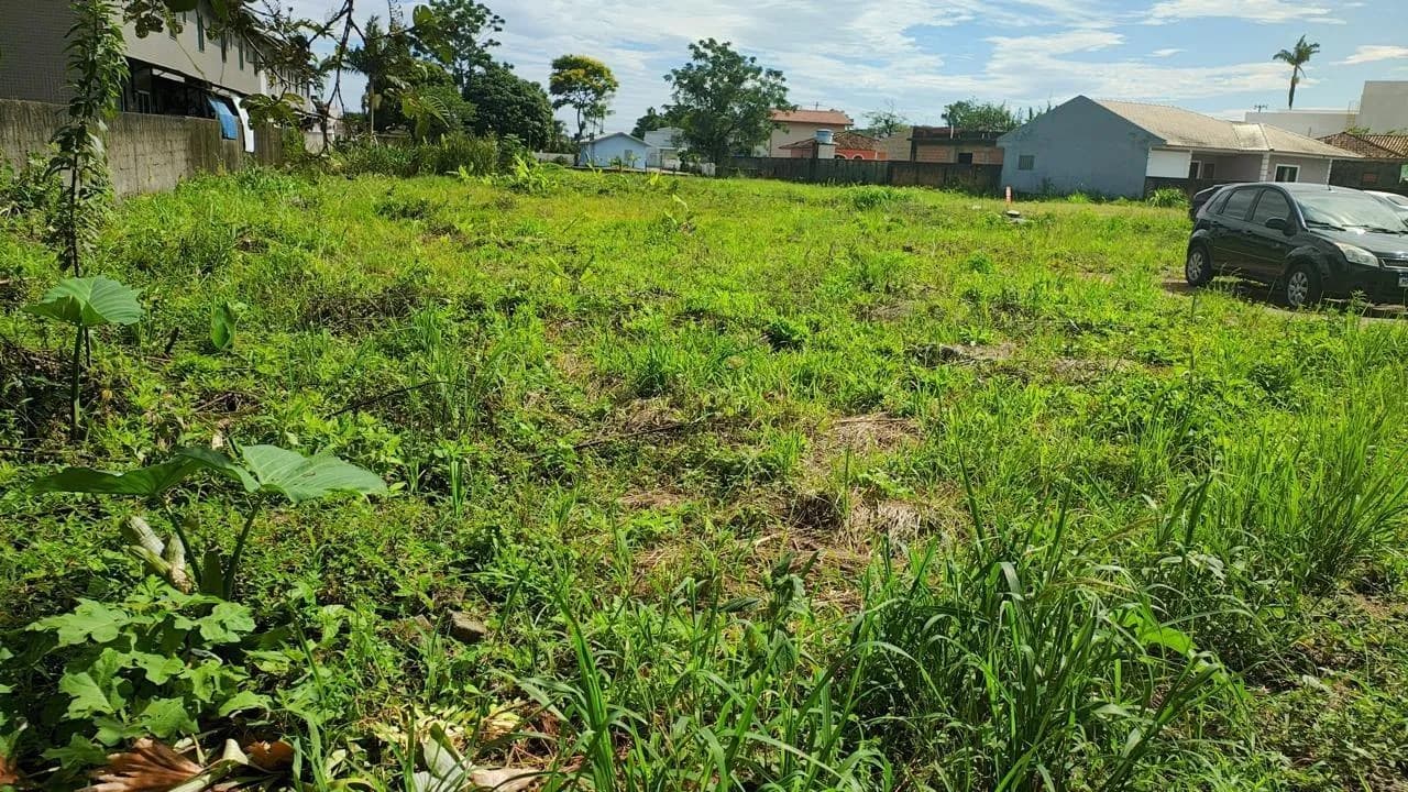 Terreno para venda em Aririú da Formiga com 3112 m² — foto 3