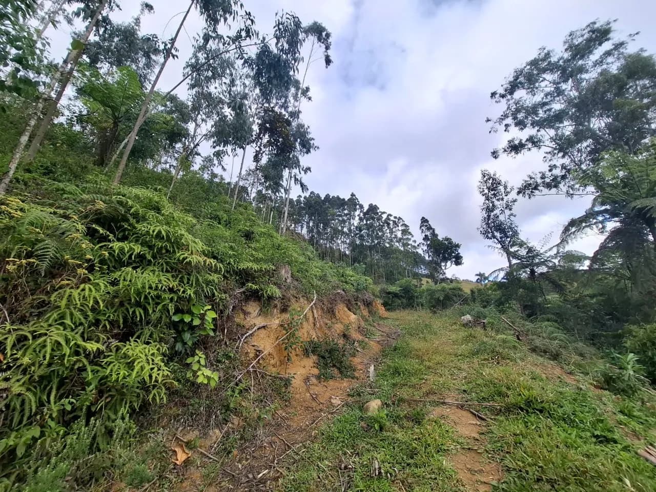 Terreno para venda em Centro com 434088 m² — foto principal