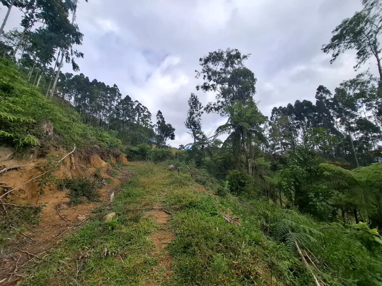 Terreno para venda em Centro com 434088 m² — foto 2