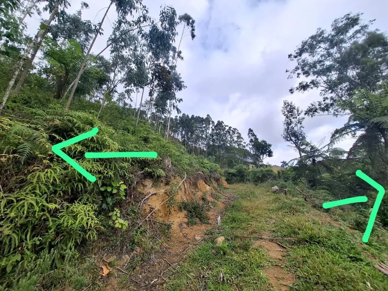 Terreno para venda em Centro com 434088 m² — foto 4