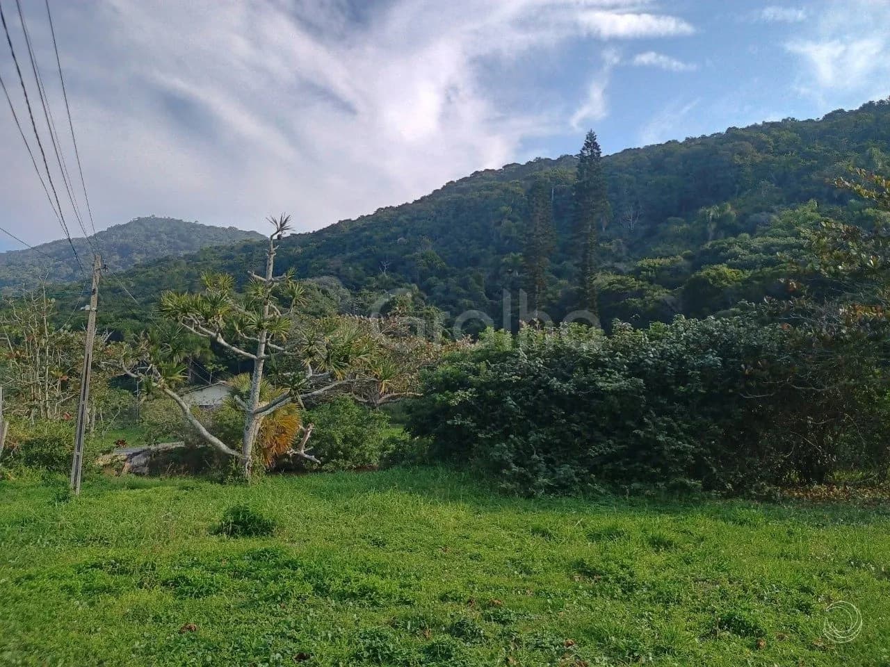 Terreno para venda em Praia Brava com 39707 m² — foto principal