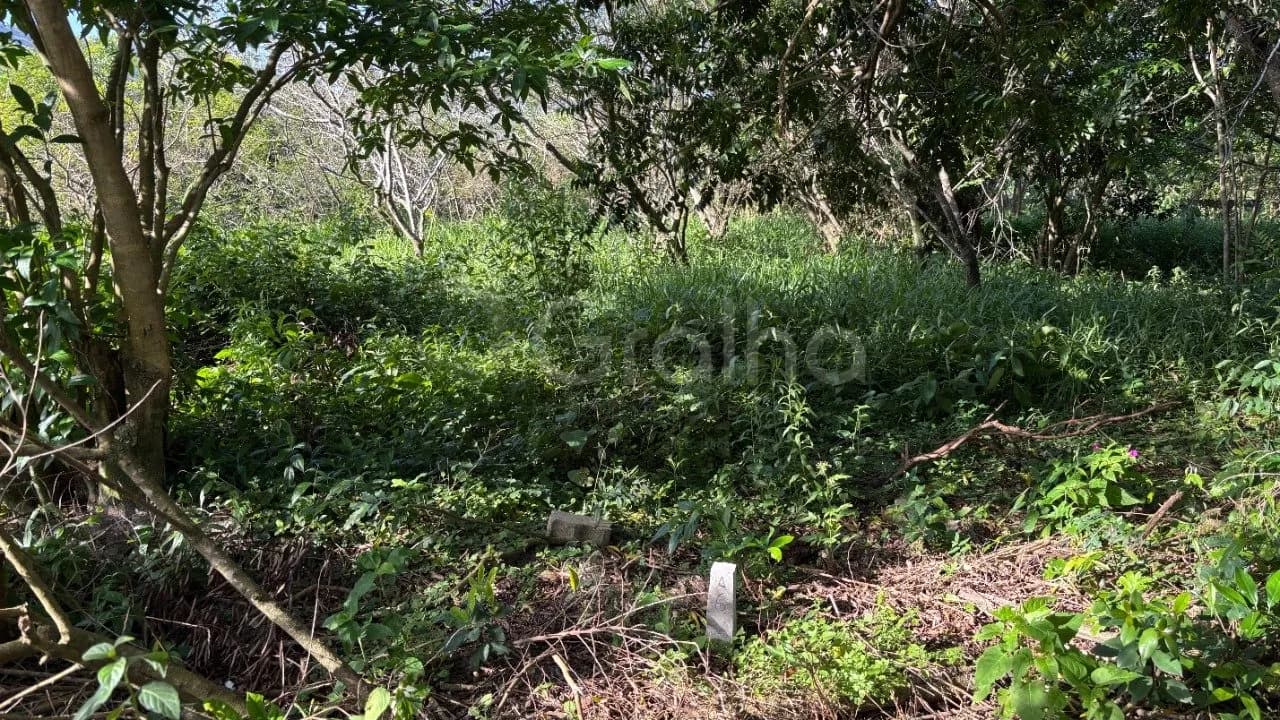 Terreno para venda em Açores com 397 m² — foto principal