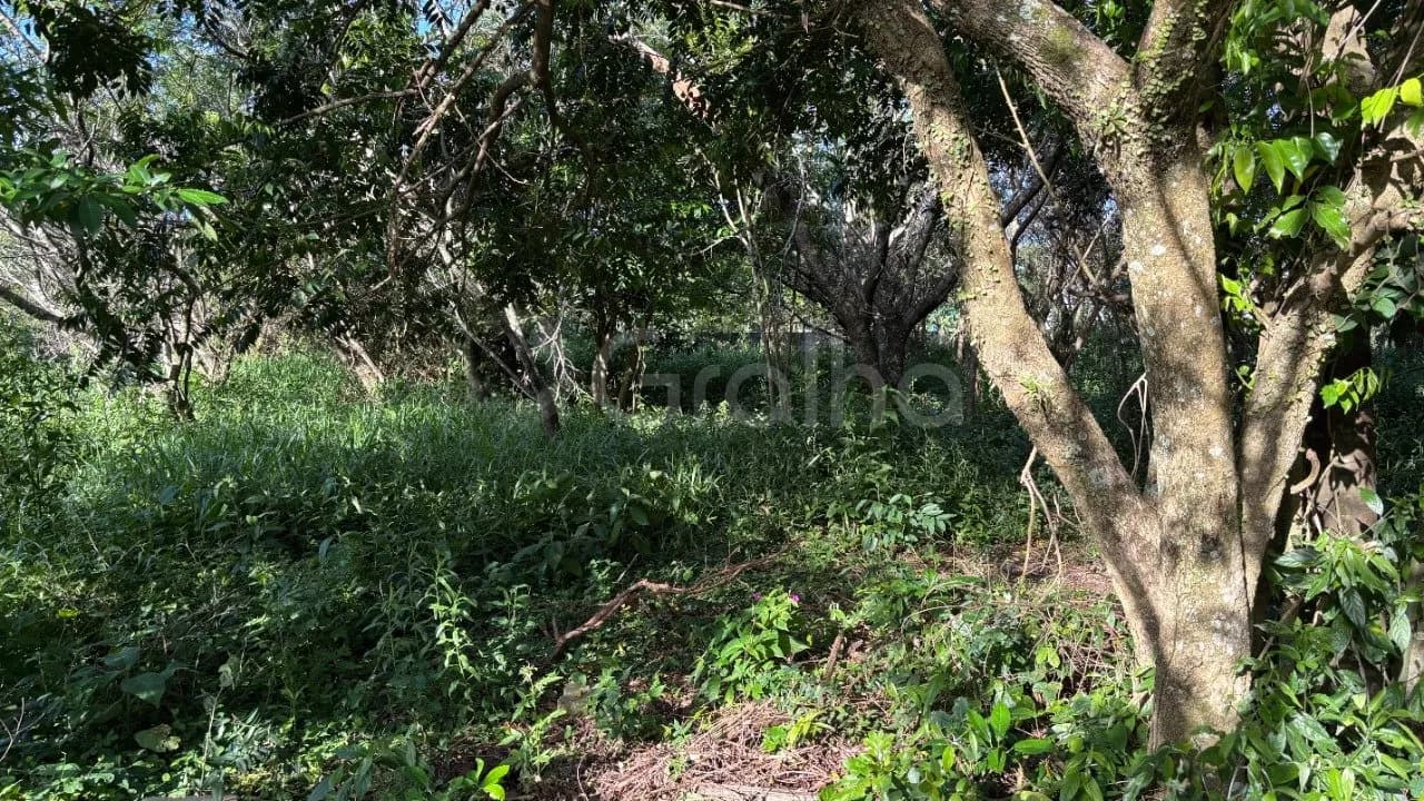Terreno para venda em Açores com 397 m² — foto 2
