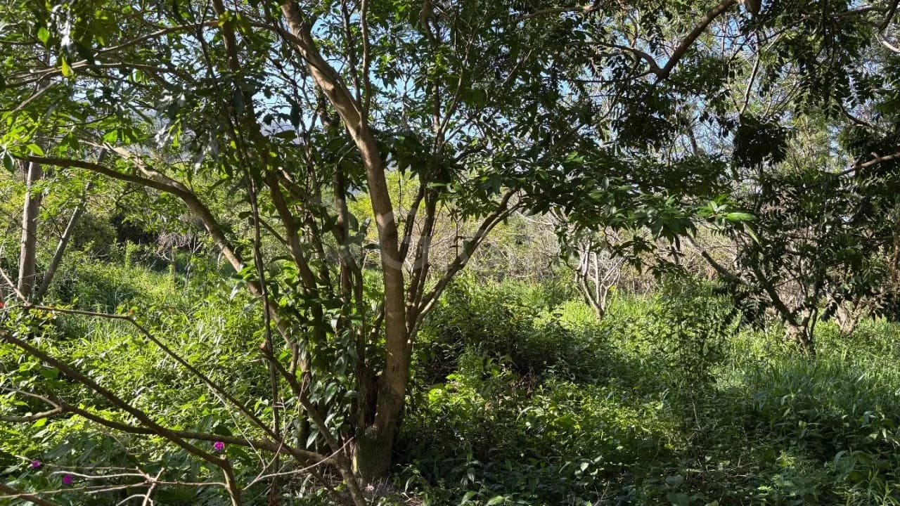 Terreno para venda em Açores com 397 m² — foto 3