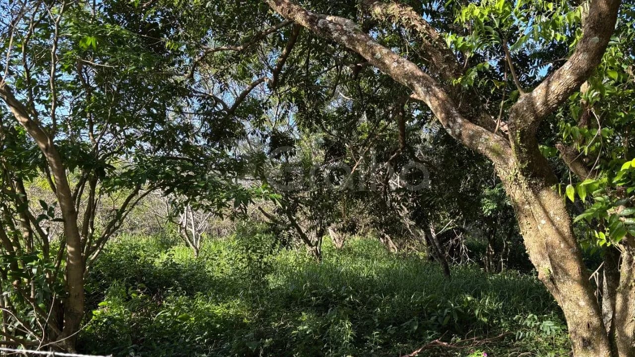 Terreno para venda em Açores com 397 m² — foto 4