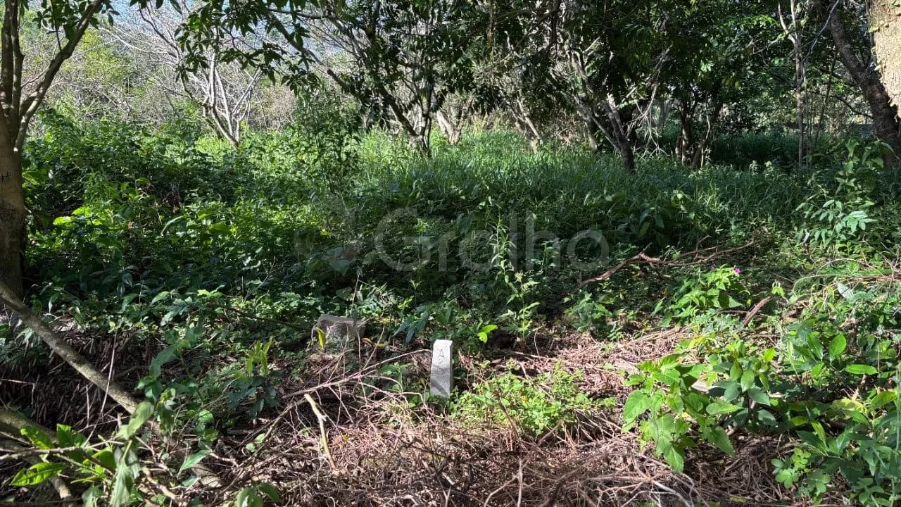 Terreno para venda em Açores com 397 m² — foto 5
