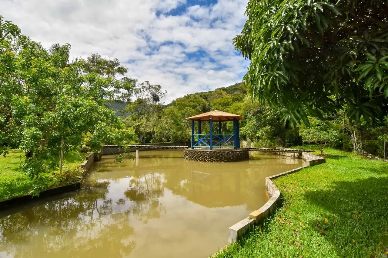 Terreno para venda com 4 dormitórios em Ribeirão da Ilha com 37500 m² — foto 3