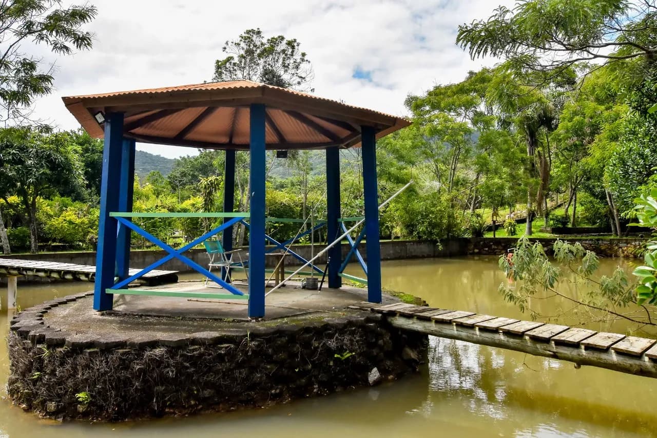 Terreno para venda com 4 dormitórios em Ribeirão da Ilha com 37500 m² — foto 4