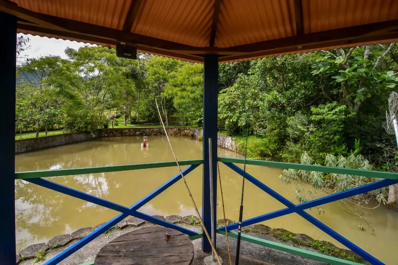 Terreno para venda com 4 dormitórios em Ribeirão da Ilha com 37500 m² — foto 5