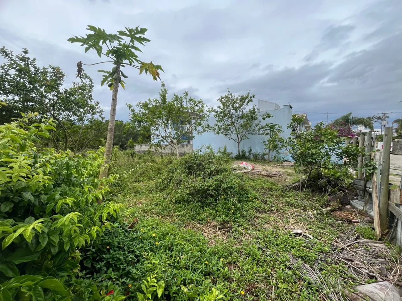 Terreno para venda em Canasvieiras com 450 m² — foto 3