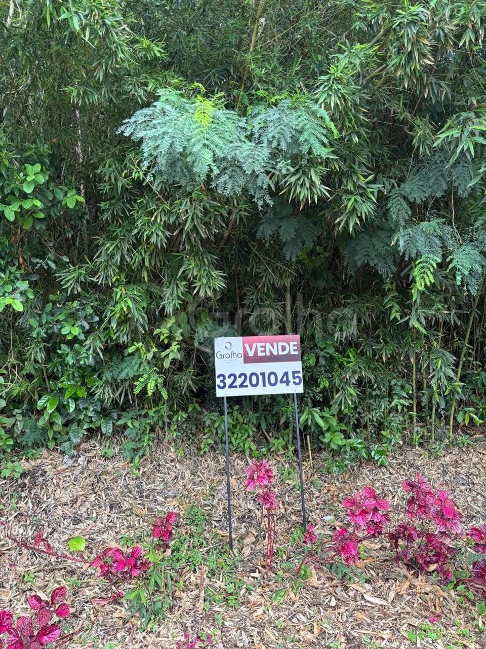 Terreno para venda em Trindade com 417 m² — foto 3